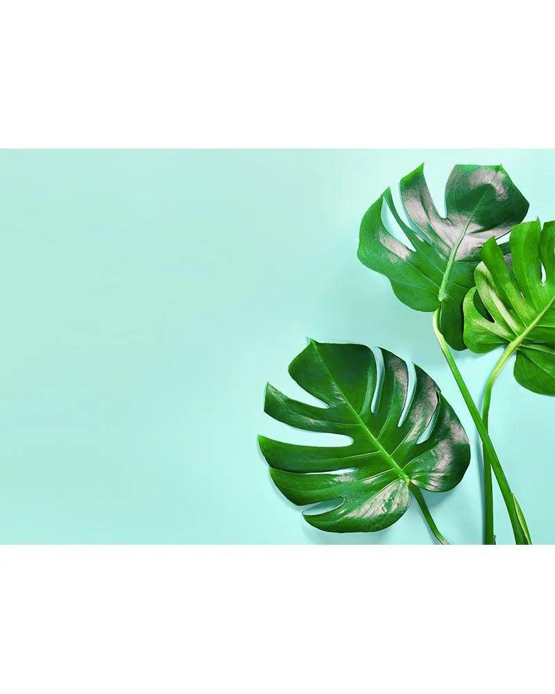 Noodle Board - Green Palms Tempered Glass | Gas and Induction Cook Top Cover | Charcuterie Board - Festive Fit Home