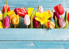 Gas & Electric Cook Top Cover - Tulips | Stove Top Cover | Burner Cover - Festive Fit Home