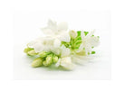 Stove Top Cover - White Floral | Gas & Electric Cook top Cover | Noodle Board - Festive Fit Home